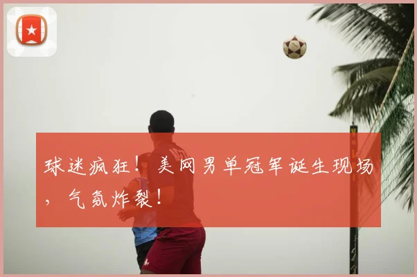 球迷疯狂！美网男单冠军诞生现场，气氛炸裂！